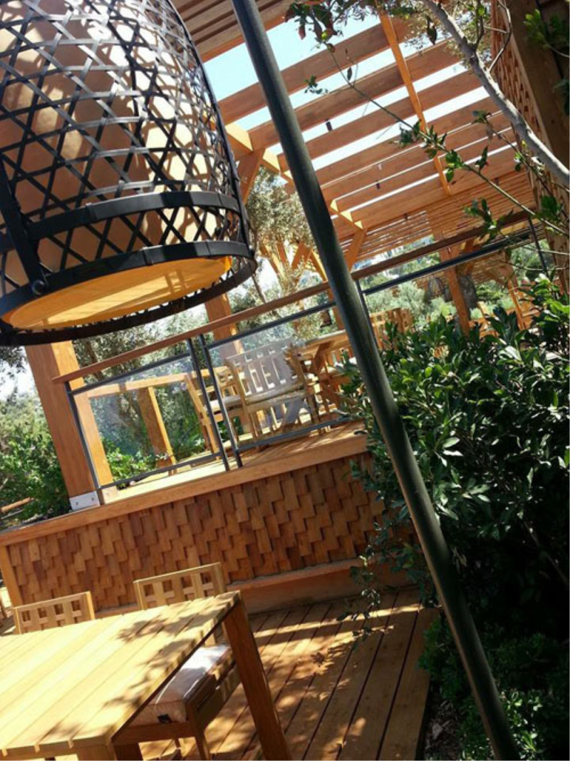 Çınar Ahşap | CEPHE