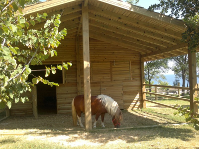 Çınar Ahşap | NET HOLDİNG - MERİT PARK OTEL - KIBRIS