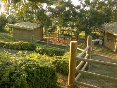 Çınar Ahşap | NET HOLDİNG - MERİT PARK OTEL - KIBRIS