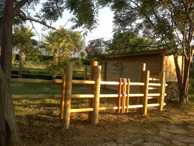 Çınar Ahşap | NET HOLDİNG - MERİT PARK OTEL - KIBRIS