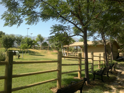 Çınar Ahşap | NET HOLDİNG - MERİT PARK OTEL - KIBRIS