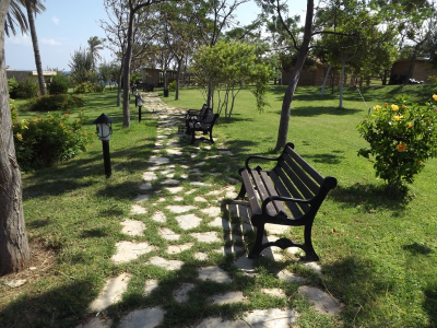 Çınar Ahşap | NET HOLDİNG - MERİT PARK OTEL - KIBRIS