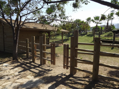 Çınar Ahşap | NET HOLDİNG - MERİT PARK OTEL - KIBRIS