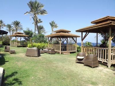 Çınar Ahşap | NET HOLDİNG - MERİT PARK OTEL - KIBRIS