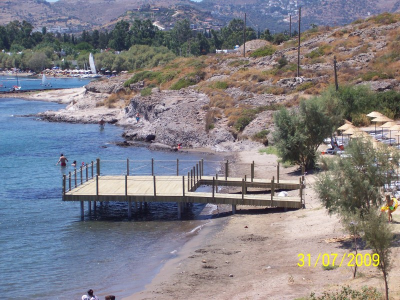 Çınar Ahşap | ORTAKENT BELEDİYESİ - BODRUM