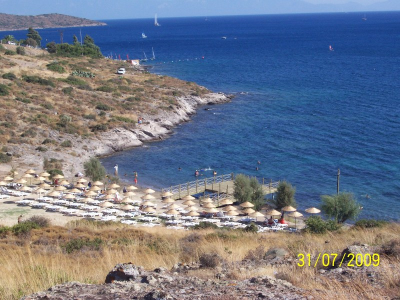 Çınar Ahşap | ORTAKENT BELEDİYESİ - BODRUM