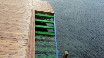 Çınar Ahşap | CASA NOVA SİTELERİ - BODRUM