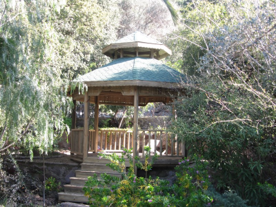 Çınar Ahşap | KOZA SİTELERİ - BODRUM