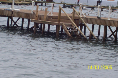 Çınar Ahşap | ORTAKENT BELEDİYESİ - BODRUM