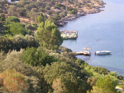 Çınar Ahşap | PERA SİTELERİ - BODRUM