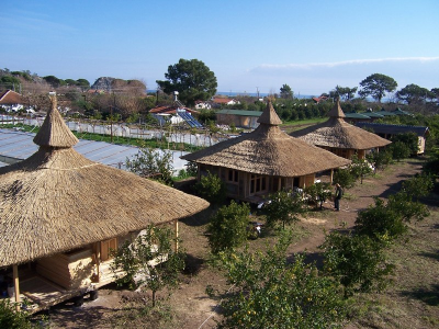 Çınar Ahşap | ALAÇATI HOTEL - ÇEŞME
