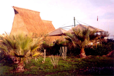 Çınar Ahşap | FLY İNN AYAYORGİ BEACH - ÇEŞME