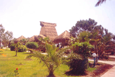 Çınar Ahşap | FLY İNN AYAYORGİ BEACH - ÇEŞME