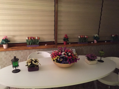 Çınar Ahşap | CEBEL A.Ş - VİLLA - KONYA