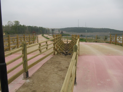 Çınar Ahşap | 26 AĞUSTOS TABİAT PARKI - AFYON