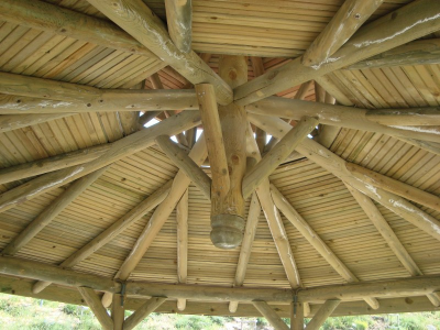 Çınar Ahşap | 26 AĞUSTOS TABİAT PARKI - AFYON