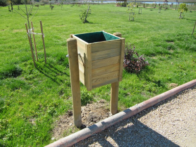 Çınar Ahşap | 26 AĞUSTOS TABİAT PARKI - AFYON