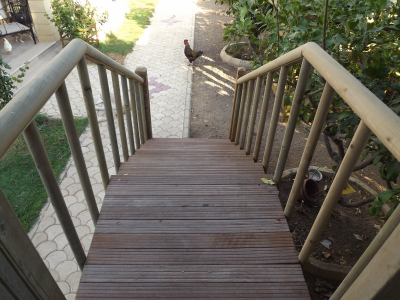 Çınar Ahşap | HULKİ BEY - KIBRIS