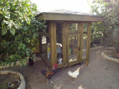 Çınar Ahşap | HULKİ BEY - KIBRIS