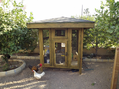 Çınar Ahşap | HULKİ BEY - KIBRIS