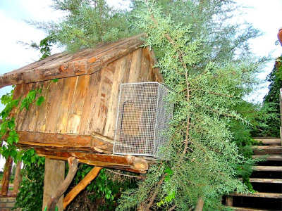 Çınar Ahşap | HAZBAHÇE RESTAURANT - KONYA