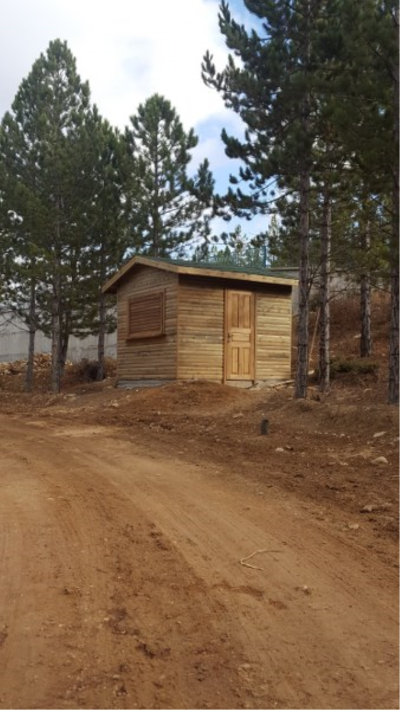 Çınar Ahşap | BEYŞEHİR ORM. İŞLT. MÜD