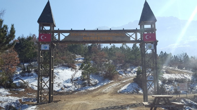 Çınar Ahşap | BEYŞEHİR ORM. İŞLT. MÜD