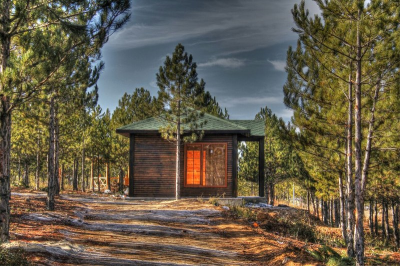 Çınar Ahşap | BEYŞEHİR ORM. İŞLT. MÜD