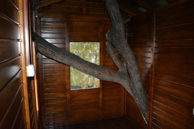 Çınar Ahşap | DR. NURAY HANIM - VİLLA - KONYA